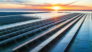 應(yīng)用｜阿克蘇諾貝爾守護(hù)全球最大開(kāi)放式海上光伏