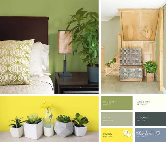 PPG公布2017年色彩流行趨勢(shì) 四個(gè)主題各有精彩